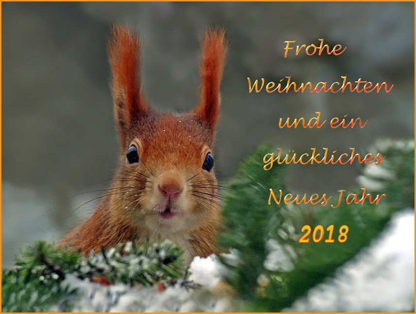 XMas_2017