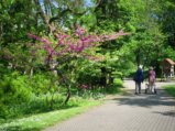 thumbnails/005-FR-BotGart-01-Mai-2019_0006_ji.jpg.small.jpeg