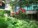 thumbnails/010-FR-BotGart-01-Mai-2019_0013_ji.jpg.small.jpeg