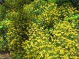 thumbnails/011-FR-BotGart-01-Mai-2019_0014_ji.jpg.small.jpeg