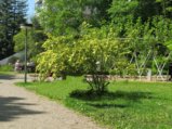 thumbnails/017-FR-BotGart-01-Mai-2019_0019_ji.jpg.small.jpeg
