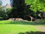 thumbnails/022-FR-BotGart-01-Mai-2019_0025_ji.jpg.small.jpeg