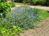 thumbnails/024-FR-BotGart-01-Mai-2019_0028_ji.jpg.small.jpeg