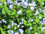 thumbnails/025-FR-BotGart-01-Mai-2019_0029_ji.jpg.small.jpeg