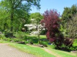 thumbnails/032-FR-BotGart-01-Mai-2019_0036_ji.jpg.small.jpeg