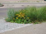 thumbnails/004-Spaziergang zum See_0005_ji.jpg.small.jpeg