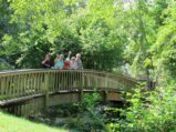 thumbnails/010-Spaziergang zum See_0011_ji.jpg.small.jpeg