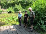 thumbnails/018-Spaziergang zum See_0019_ji.jpg.small.jpeg