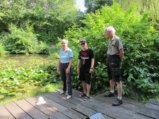 thumbnails/020-Spaziergang zum See_0021_ji.jpg.small.jpeg
