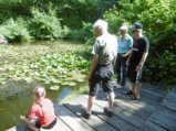 thumbnails/031-Spaziergang zum See_Foegele_0032.jpg.small.jpeg