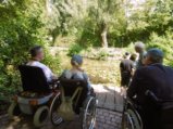 thumbnails/032-Spaziergang zum See_Foegele_0033.jpg.small.jpeg