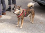 thumbnails/016-Buergerspaziergang_2019_0021_ji.jpg.small.jpeg