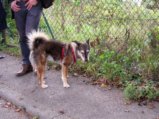 thumbnails/020-Buergerspaziergang_2019_0025_ji.jpg.small.jpeg