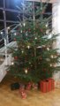 thumbnails/000-Stammtisch_20191220_190001_ji.jpg.small.jpeg