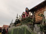 thumbnails/028-Gufi-Fastnachtsumzug_0029_ji.jpg.small.jpeg