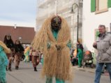 thumbnails/042-Gufi-Fastnachtsumzug_0043_ji.jpg.small.jpeg