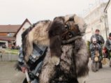 thumbnails/053-Gufi-Fastnachtsumzug_0054_ji.jpg.small.jpeg