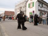 thumbnails/055-Gufi-Fastnachtsumzug_0056_ji.jpg.small.jpeg