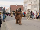 thumbnails/056-Gufi-Fastnachtsumzug_0057_ji.jpg.small.jpeg