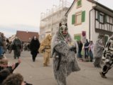 thumbnails/108-Gufi-Fastnachtsumzug_0109_ji.jpg.small.jpeg