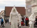 thumbnails/116-Gufi-Fastnachtsumzug_0117_ji.jpg.small.jpeg