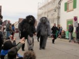 thumbnails/120-Gufi-Fastnachtsumzug_0121_ji.jpg.small.jpeg