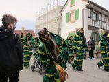 thumbnails/136-Gufi-Fastnachtsumzug_0137_ji.jpg.small.jpeg