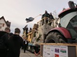 thumbnails/145-Gufi-Fastnachtsumzug_0146_ji.jpg.small.jpeg