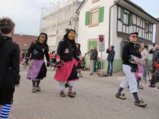 thumbnails/153-Gufi-Fastnachtsumzug_0154_ji.jpg.small.jpeg