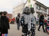thumbnails/162-Gufi-Fastnachtsumzug_0163_ji.jpg.small.jpeg