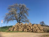 thumbnails/016-Wildtalausflug_20200318_144801_Gisela.jpg.small.jpeg