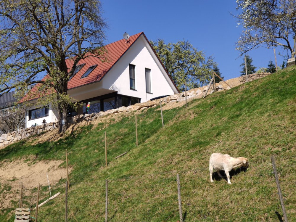 ../previews/034-Wildtal-Heuweiler_20200405_142234.jpg.medium.jpeg