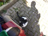 thumbnails/007-Wildtal-Heuweiler_20200405_131021.jpg.small.jpeg