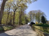 thumbnails/010-Wildtal-Heuweiler_20200405_132437.jpg.small.jpeg