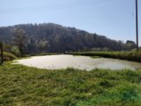 thumbnails/012-Wildtal-Heuweiler_20200405_134428.jpg.small.jpeg