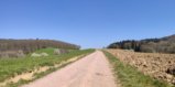 thumbnails/013-Wildtal-Heuweiler_20200405_134809-815_pano.jpg.small.jpeg