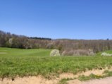 thumbnails/014-Wildtal-Heuweiler_20200405_134823.jpg.small.jpeg