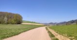 thumbnails/016-Wildtal-Heuweiler_20200405_135734-740_pano.jpg.small.jpeg