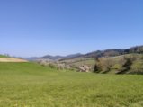 thumbnails/018-Wildtal-Heuweiler_20200405_140004.jpg.small.jpeg