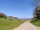 thumbnails/021-Wildtal-Heuweiler_20200405_140809.jpg.small.jpeg