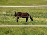 thumbnails/027-Wildtal-Heuweiler_20200405_141211.jpg.small.jpeg