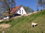 thumbnails/034-Wildtal-Heuweiler_20200405_142234.jpg.small.jpeg