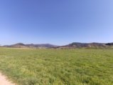 thumbnails/046-Wildtal-Heuweiler_20200405_145126.jpg.small.jpeg