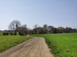 thumbnails/048-Wildtal-Heuweiler_20200405_150028.jpg.small.jpeg