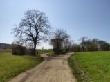 thumbnails/049-Wildtal-Heuweiler_20200405_150221.jpg.small.jpeg