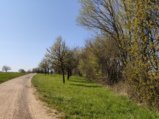 thumbnails/050-Wildtal-Heuweiler_20200405_150341.jpg.small.jpeg
