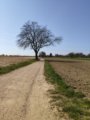 thumbnails/051-Wildtal-Heuweiler_20200405_150744.jpg.small.jpeg