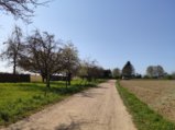 thumbnails/053-Wildtal-Heuweiler_20200405_151255.jpg.small.jpeg