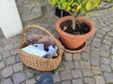 thumbnails/007-Oster-Pfarrhof_20200412_145924.jpg.small.jpeg