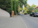 thumbnails/022-6ter_Spaziergang_0022.jpg.small.jpeg